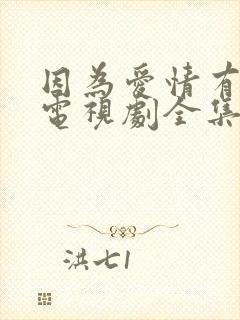 因为爱情有幸福电视剧全集免费观看