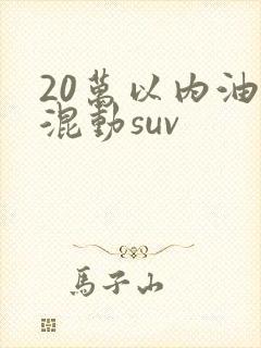 20万以内油电混动suv
