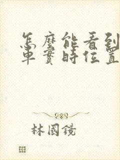 怎么能看到公交车实时位置