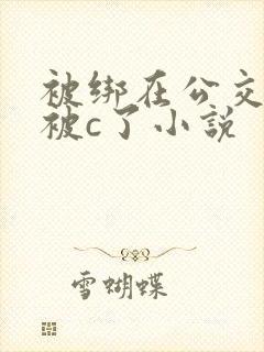 被绑在公交车里被c了小说