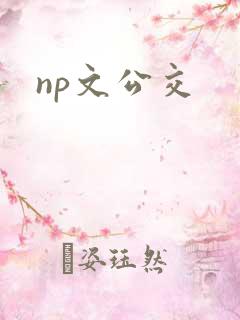 np文公交
