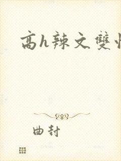 高h辣文双性