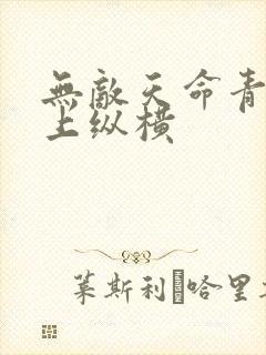 无敌天命青鸾峰上纵横