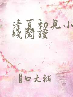 清夏初见小说在线阅读