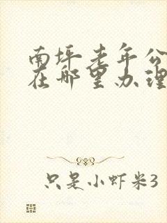南坪老年公交卡在哪里办理