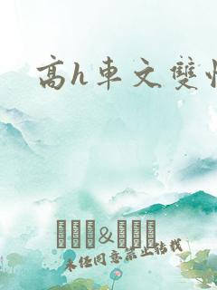 高h车文双性