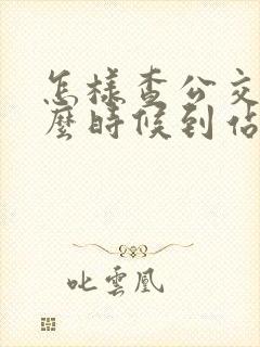怎样查公交车什么时候到站