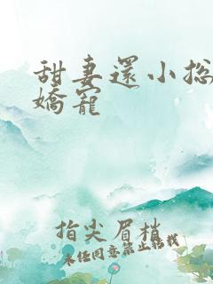 甜妻还小总裁需娇宠