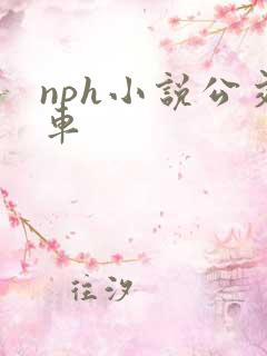 nph小说公交车