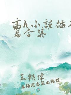 高h小说插入短篇合集