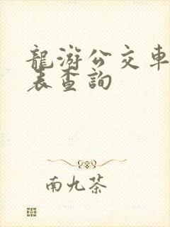 龙游公交车时刻表查询