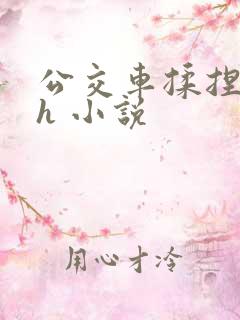 公交车揉捏花蒂h 小说