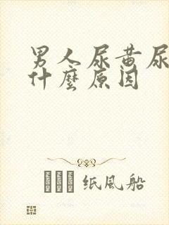 男人尿黄尿臭是什么原因