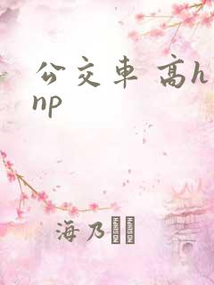 公交车 高h np