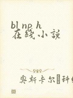bl np h在线小说