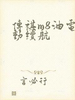 传祺m8油电混动续航