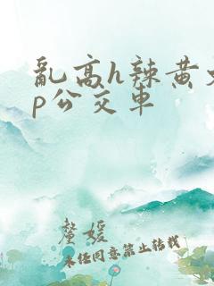 乱高h辣黄文np公交车