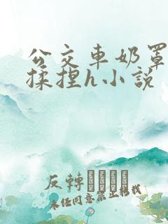 公交车奶罩伸进揉捏h小说