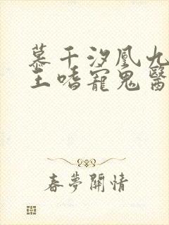 慕千汐凰九夜邪王嗜宠鬼医狂妃无弹窗
