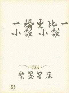 一婚更比一婚高小说 小说