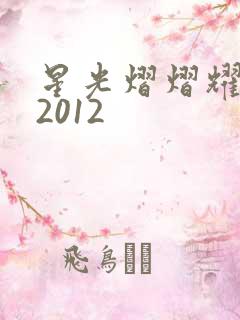 星光熠熠耀保良2012