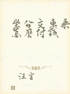 坐公交车乘车码怎么付钱