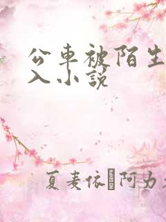 公车被陌生人进入小说