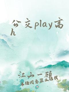 公交play高h