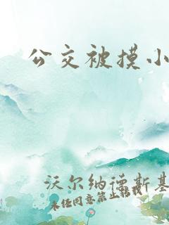 公交被摸小说