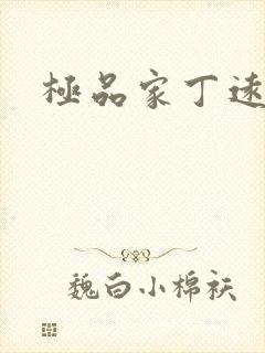 极品家丁远方