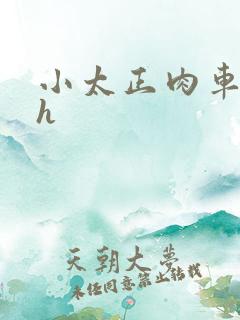 小太正肉车文高h