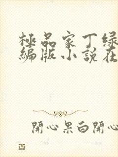 极品家丁绿帽改编版小说在哪里看