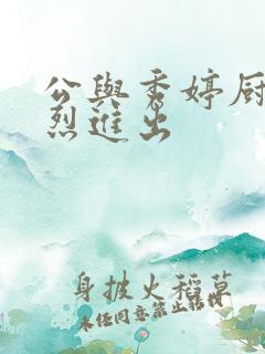 公与秀婷厨房猛烈进出