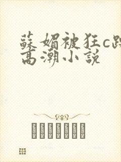 苏媚被狂c躁到高潮小说