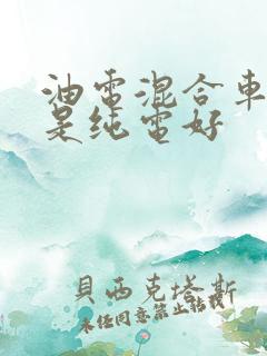 油电混合车好还是纯电好