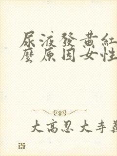 尿液发黄红是什么原因女性