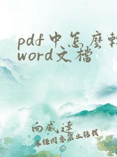 pdf中怎么转word文档