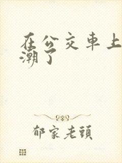 在公交车上被高潮了