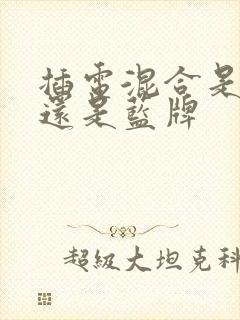 插电混合是绿牌还是蓝牌