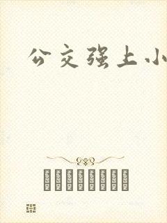 公交强上小说