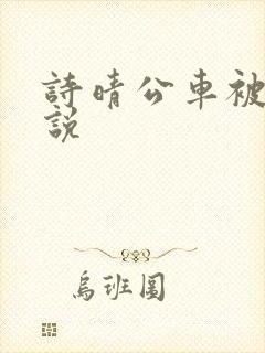 诗晴公车被入小说