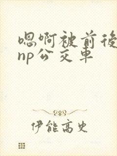 嗯啊被前后夹击np公交车