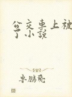 公交车上被高潮了小说