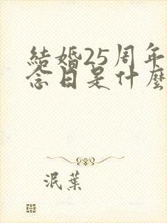 结婚25周年纪念日是什么婚