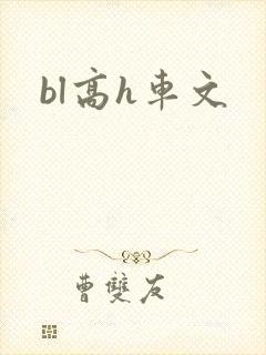 bl高h车文