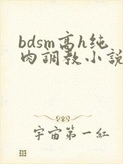 bdsm高h纯肉调教小说