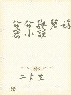 公公与儿媳的秘密小说