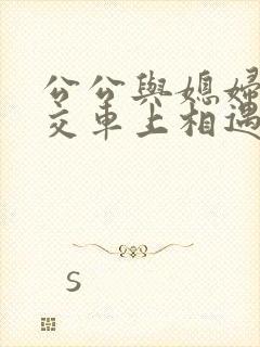 公公与媳妇在公交车上相遇