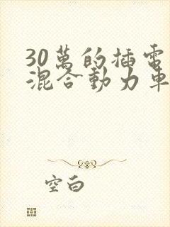 30万的插电式混合动力车型