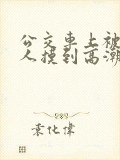 公交车上被陌生人摸到高潮